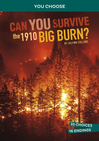 Can You Survive The 1910 Big Burn?: An Interactive History Adventure (You Choose: Disasters In History) - 9781666390803