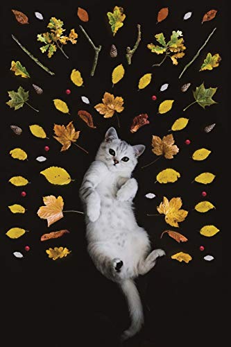 Carnet De Mots De Passe - Sites Internet: Le Titre N?Appara?t Sur La Couverture - Petit Organiseur Avec Onglets Alphab?tiques De A ? Z Pour Se ... Des Sites Web (French Edition)