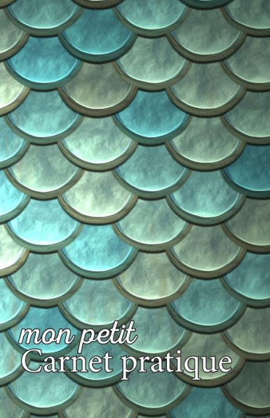 Mon Petit Carnet Pratique : Calepin Lign? Ou Carnet De Notes - ?criture Notes Rapides - Petit Format 12,85 X 19,84 Broch? - 151 Pages - Tuile ?caille Dragon Vert