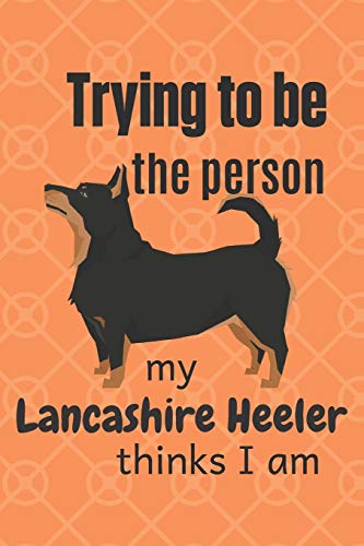 Trying To Be The Person My Lancashire Heeler Thinks I Am: For Lancashire Heeler Dog Fans
