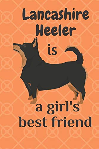 Lancashire Heeler Is A Girl?S Best Friend: For Lancashire Heeler Dog Fans
