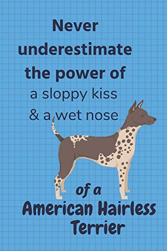 Never Underestimate The Power Of A Sloppy Kiss & A Wet Nose Of A American Hairless Terrier: For American Hairless Terrier Dog Fans