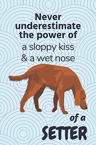 Never underestimate the power of a sloppy kiss & a wet nose of a Setter: For Setter Dog Fans