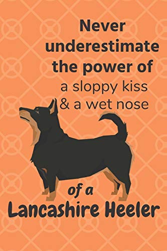 Never Underestimate The Power Of A Sloppy Kiss & A Wet Nose Of A Lancashire Heeler: For Lancashire Heeler Dog Fans