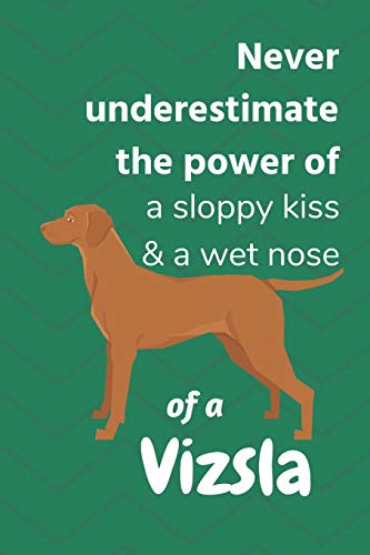 Never underestimate the power of a sloppy kiss & a wet nose of a Vizsla: For Vizsla Dog Fans