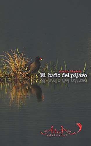 El bano del pajaro (Spanish Edition)