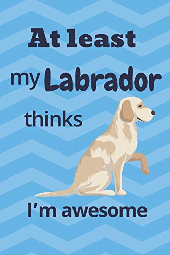 At least my Labrador thinks I???m awesome: For Labrador Dog Fans