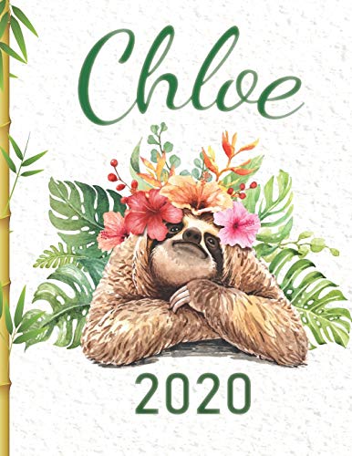 Chloe: 2020