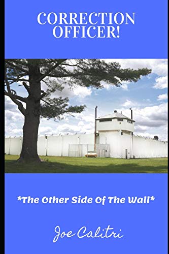 CORRECTION OFFICER!: The Other Side Of The Wall