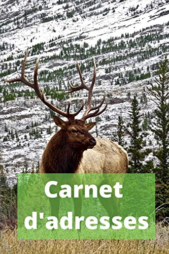 Carnet D'Adresses: R?pertoire T?l?phonique Alphab?tique (French Edition)