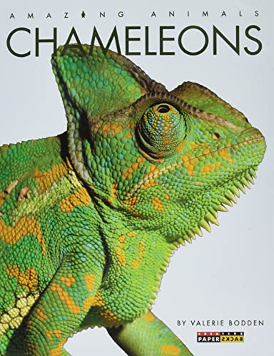 Chameleons (Amazing Animals)