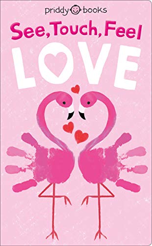 See Touch Feel: Love (See, Touch, Feel, 1)