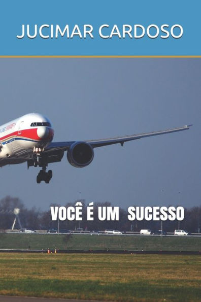 Voc? ? Um Sucesso