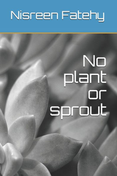 No Plant Or Sprout