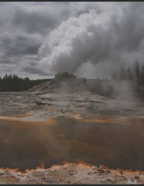 Geyser at Yellowstone