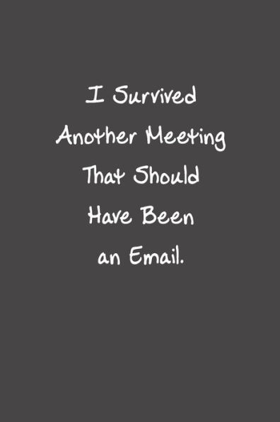 I Survived Another Meeting That Should Have Been An Email: Funny Office Gifts For Coworker