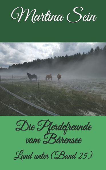 Die Pferdefreunde vom B?rensee: Land unter (German Edition)