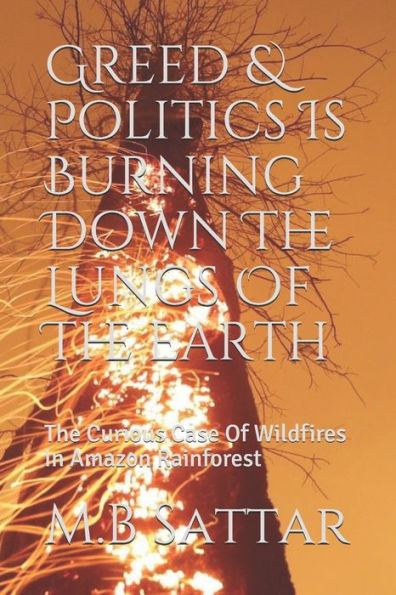 Greed & Politics Is Burning Down The Lungs Of The Earth: The Curious Case Of Wildfires In Amazon Rainforest