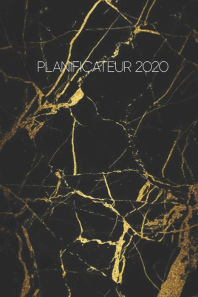Planificateur 2020 - 9781700172297