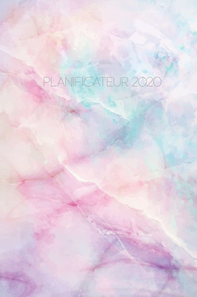 Planificateur 2020 - 9781700172648