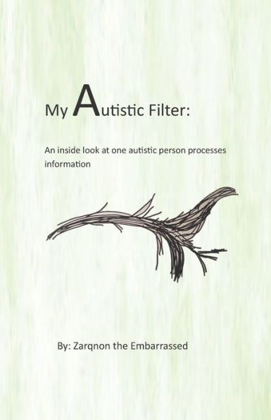 My Autistic Filter : An Inside Look At How One Autistic Person Processes Information