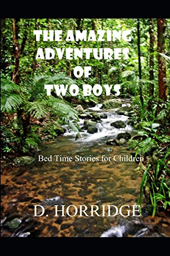 THE AMAZING ADVENTURES OF TWO BOYS: Bed Time Stories for Children (Once Upon a Time Children's Bed Time Adventure Series)