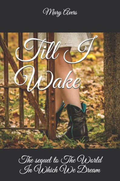 Till I Wake : The Sequel To The World In Which We Dream
