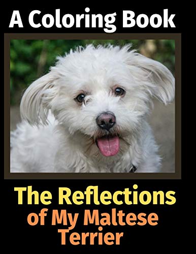 The Reflections of My Maltese Terrier: A Coloring Book