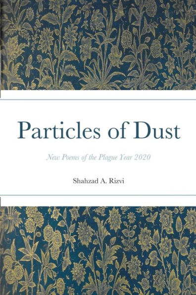 Particles Of Dust