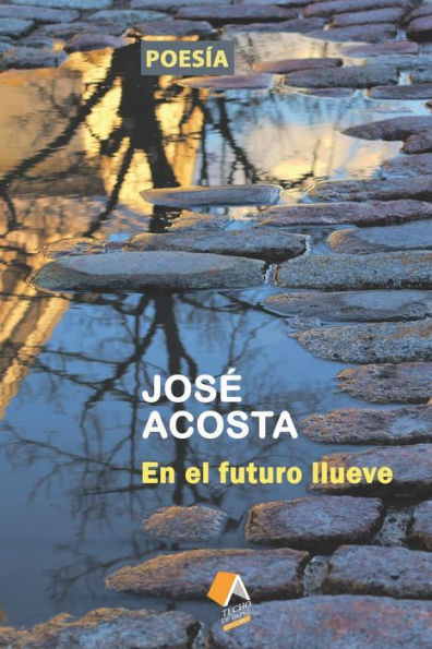En el futuro llueve: Accesit Premio Internacional de Poes?a Casa de Teatro, 2000 (Spanish Edition)