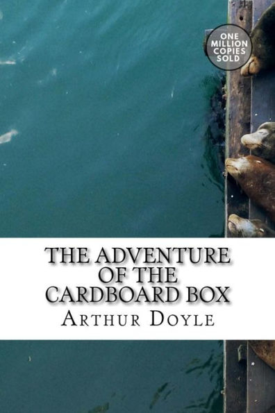 The Adventure Of The Cardboard Box - 9781717452870