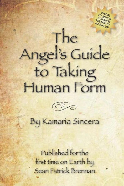 The Angel's Guide To Taking Human Form