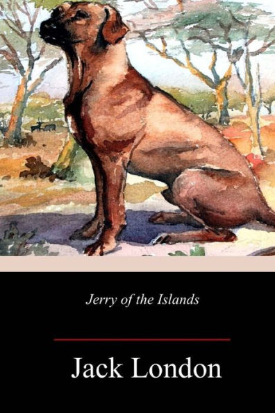 Jerry of the Islands - 9781718640849