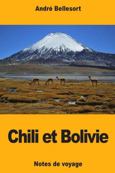 Chili et Bolivie (French Edition)