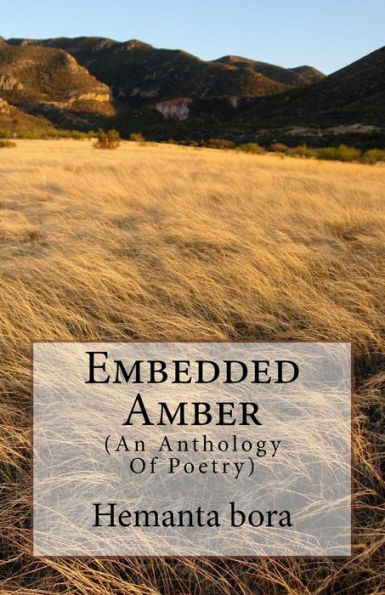 Embedded Amber: Soul- in Search of the Solace