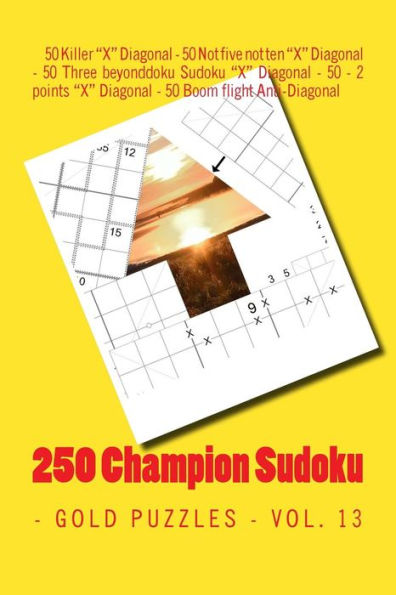 250 Champion Sudoku - Gold puzzles - Vol. 13: This is a wonderful book for you (PITSTOP GOLD SERIES)