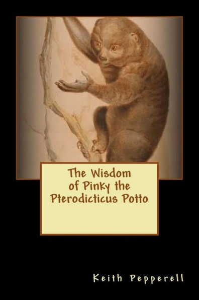 The Wisdom Of Pinky The Pterodicticus Potto
