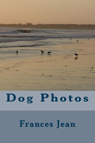 Dog Photos