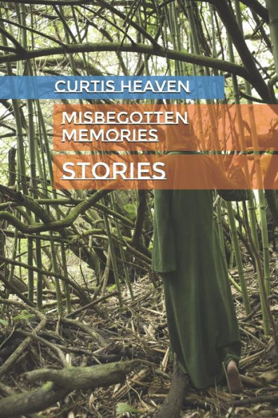 Misbegotten Memories : Stories