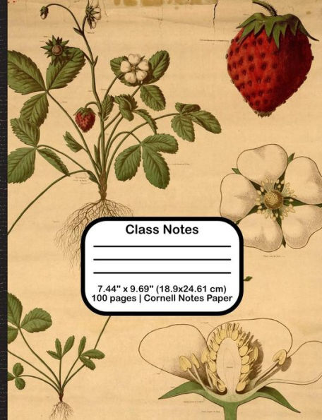Class Notes - 9781719921954