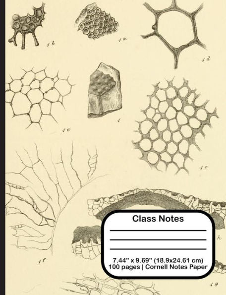 Class Notes - 9781719922647