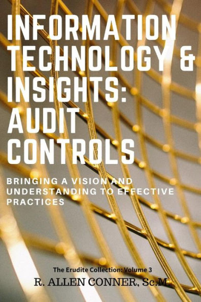 Information Technology & Insights: Audit Controls: Bringing a Vision and Understanding to Effective Practices (The Erudite Collection)