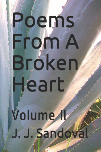 Poems From A Broken Heart - 9781720100935