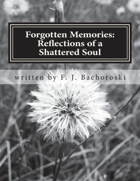 Forgotten Memories: Reflections of a Shattered Soul