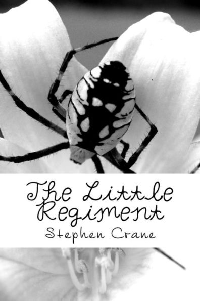 The Little Regiment - 9781722172923