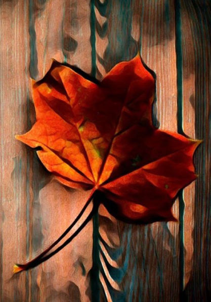 Halloween Activity Book (Halloween Journals) - 9781723986246