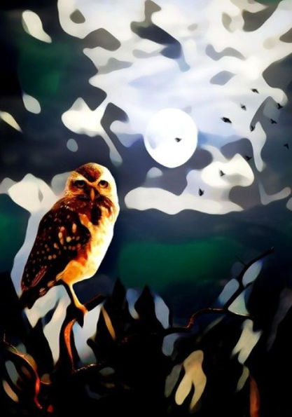 Halloween Activity Book (Halloween Journals) - 9781723988127