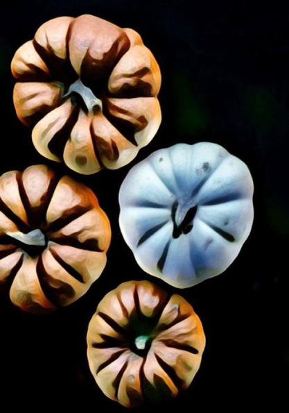 Halloween Activity Book (Halloween Journals) - 9781723990861