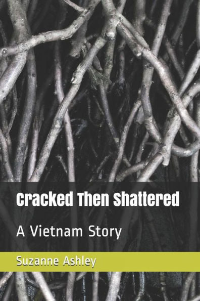 Cracked Then Shattered: A Vietnam Story