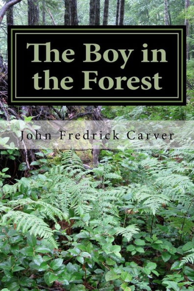 The Boy In The Forest